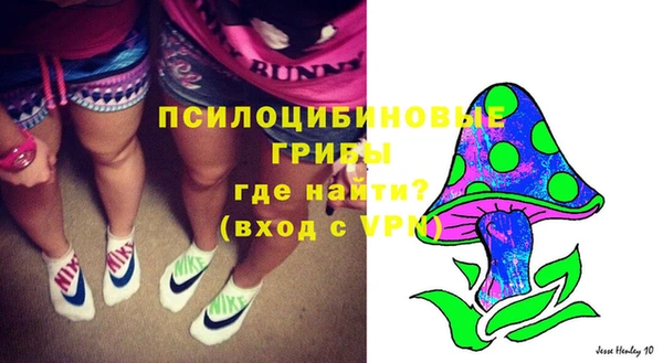 дживик Абинск