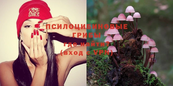 ешки Алексеевка