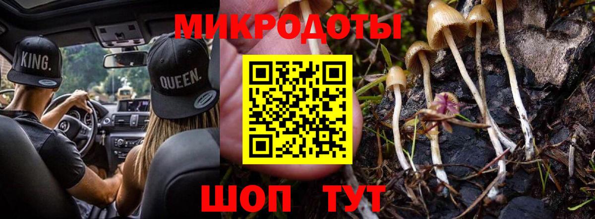 Галлюциногенные грибы GOLDEN TEACHER  Вход с VPN  Богородицк  Псилоцибиновые грибы GOLDEN TEACHER 